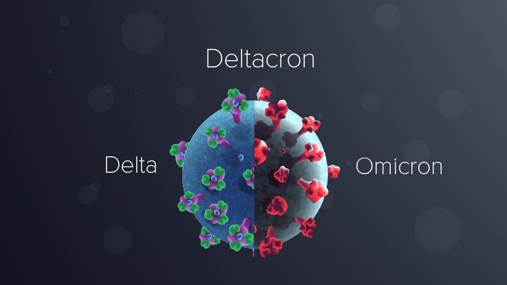 Deltacron Variant Deltacron Variant