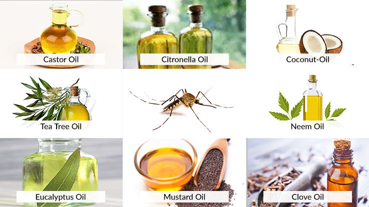 Natural mosquito deals repellent for skin