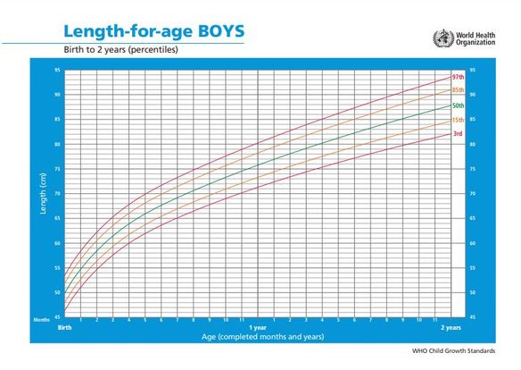Height chart for boys