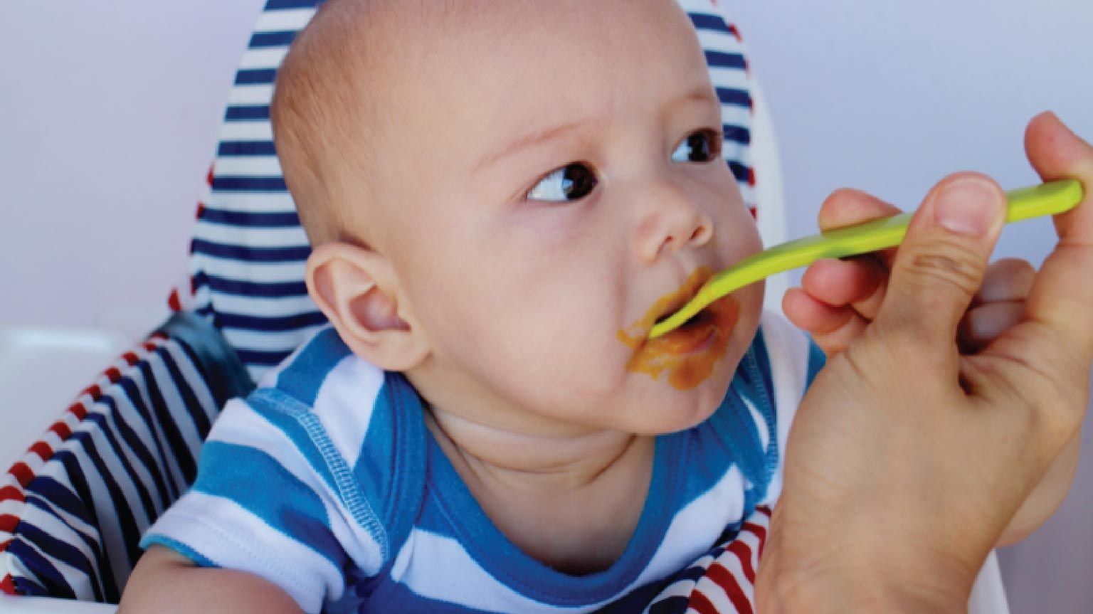 6 month baby food, six month baby food