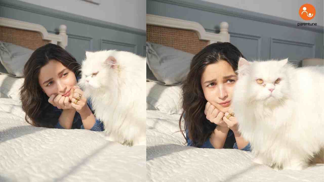 alia-bhatt-says-her-cats-changed-her-life-here-s-what-they-taught-her