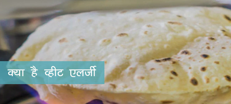 क्या है Wheat एलर्जी और जानें क्या हैं इसके समाधान क्या है Wheat एलर्जी और जानें क्या हैं इसके समाधान