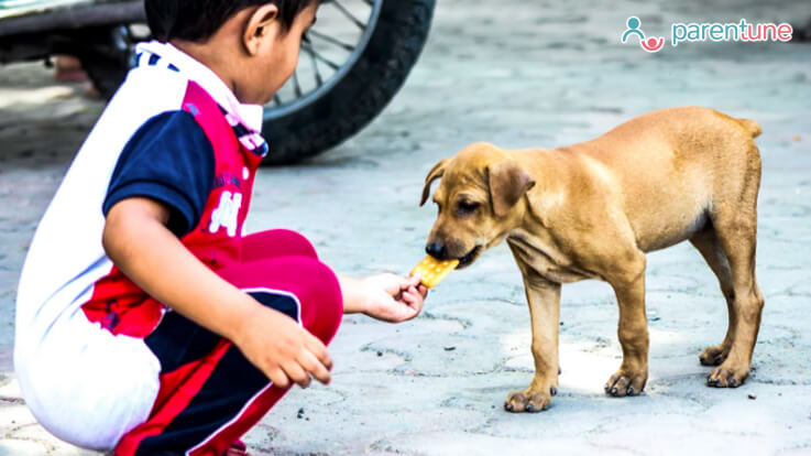 Be Kind To Animals This Summer & Ways to Teach Your Child| continue reading