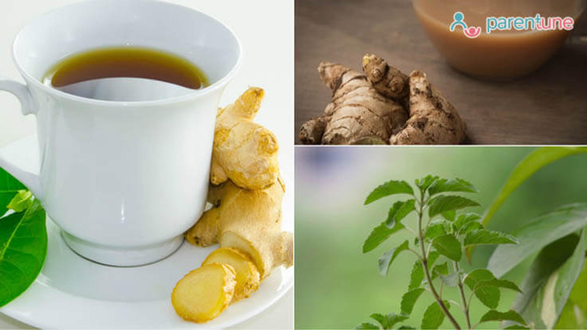 Benefits of drinking adrak-tulsi tea to boost immunity during breastfeeding