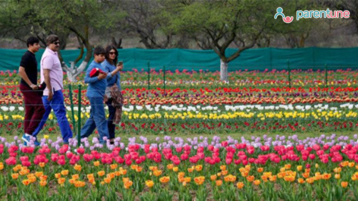 Parentune Celebrate Tulip Festival In Kashmir With Your Child