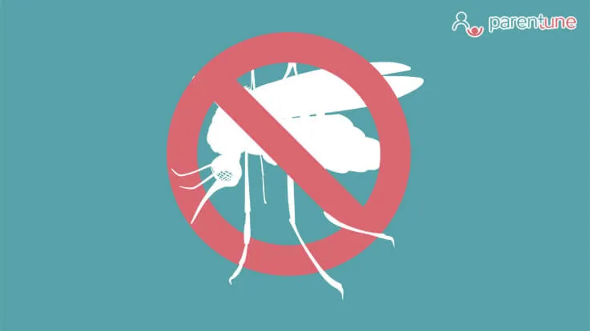 Dengue Fever Outbreak: Awareness, Symptoms & Prevention Tips