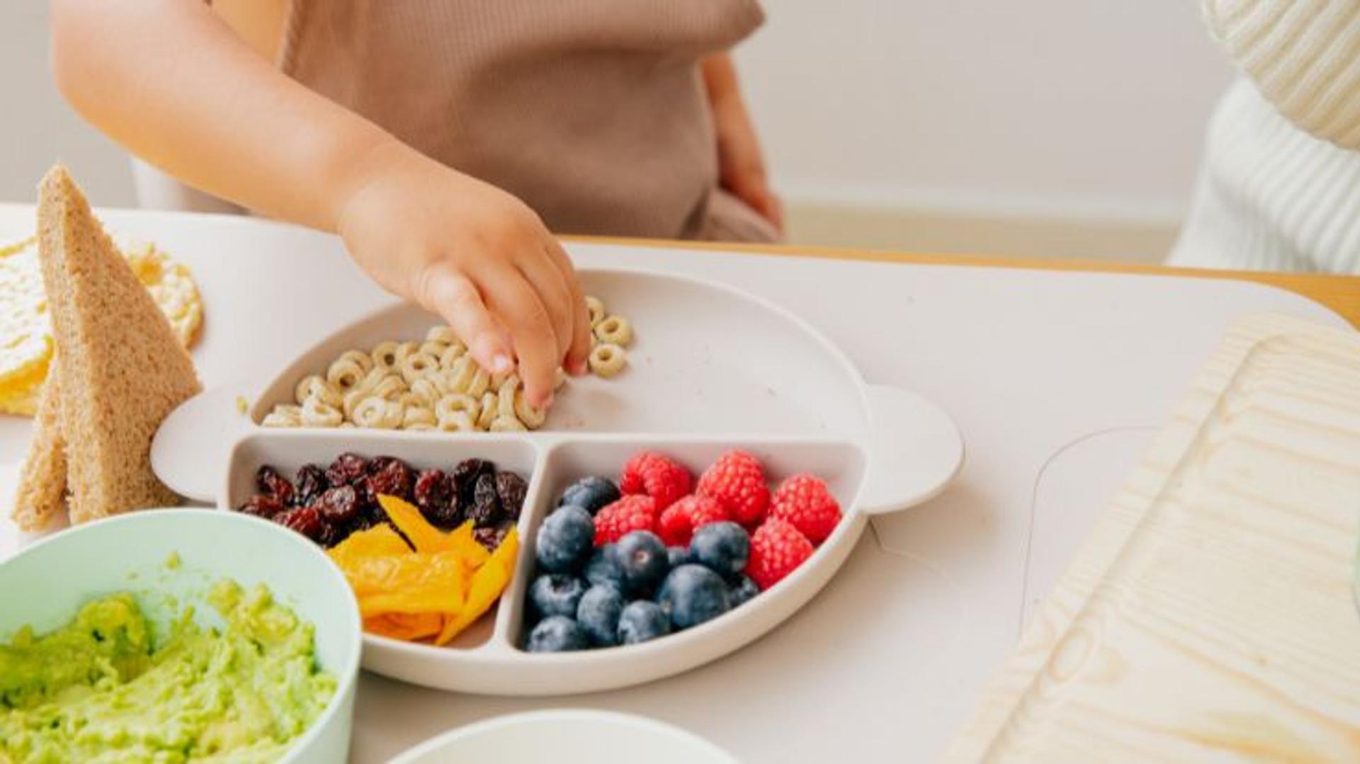 Healthy and Fun Food Recipe Options for Your Toddler