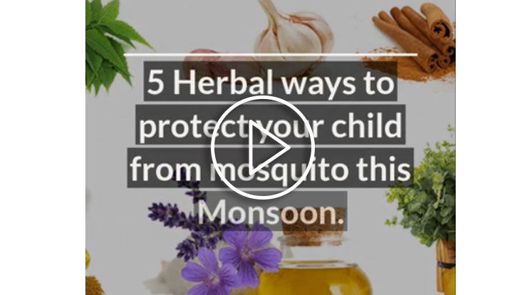Herbal ways to protect your child from mosquito Herbal ways to protect your child from mosquito