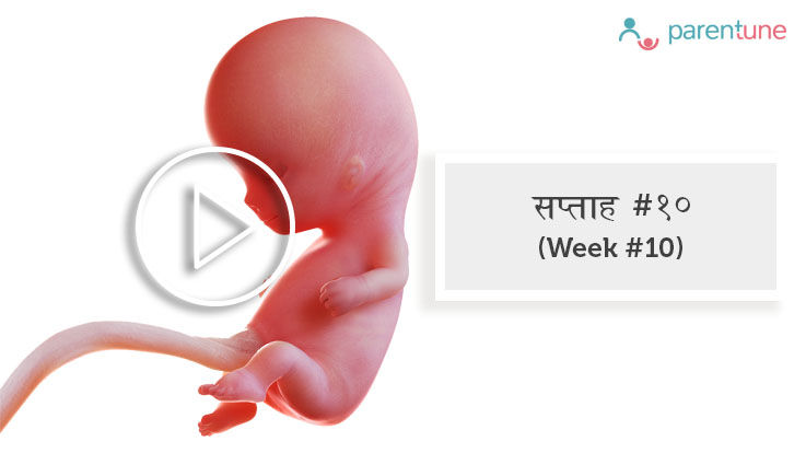 गर्भावस्था का दसवां सप्ताह गर्भावस्था का दसवां सप्ताह