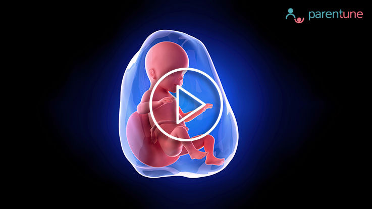 प्रेग्नेंसी के 26वें सप्ताह हफ्ता में बच्चे का विकास खानपान और शरीर में होने वाले बदलाव 26 