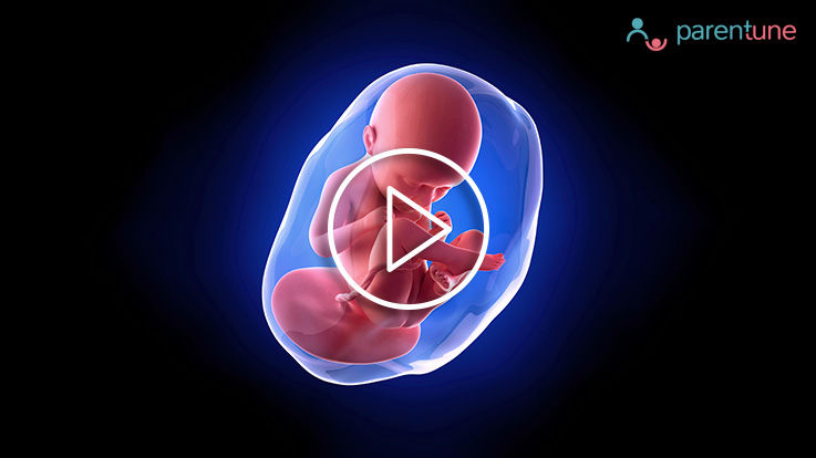 प्रेग्नेंसी के 35वें सप्ताह हफ्ता में बच्चे का विकास आपका खानपान और शरीर में होने वाले बदलाव 