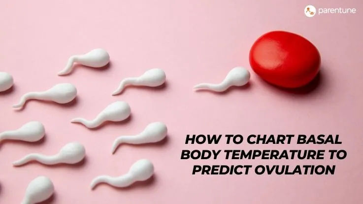 How to chart basal body temperature to predict ovulation