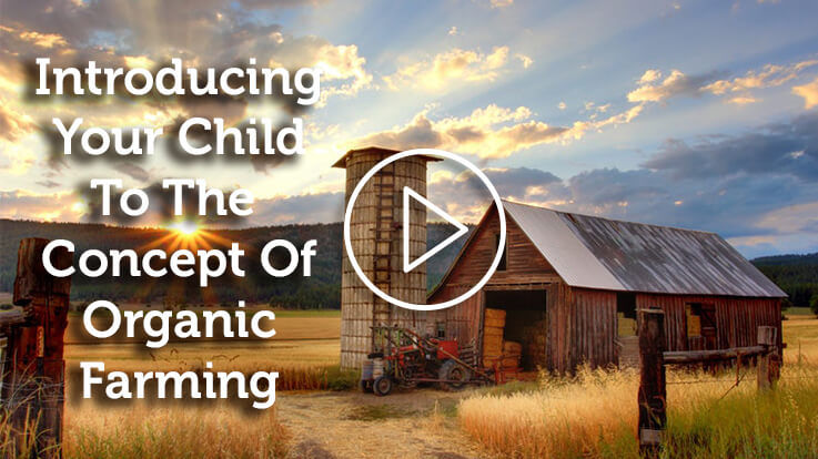Introduce Your Child The Concept Of Organic Farming Introduce Your Child The Concept Of Organic Farming