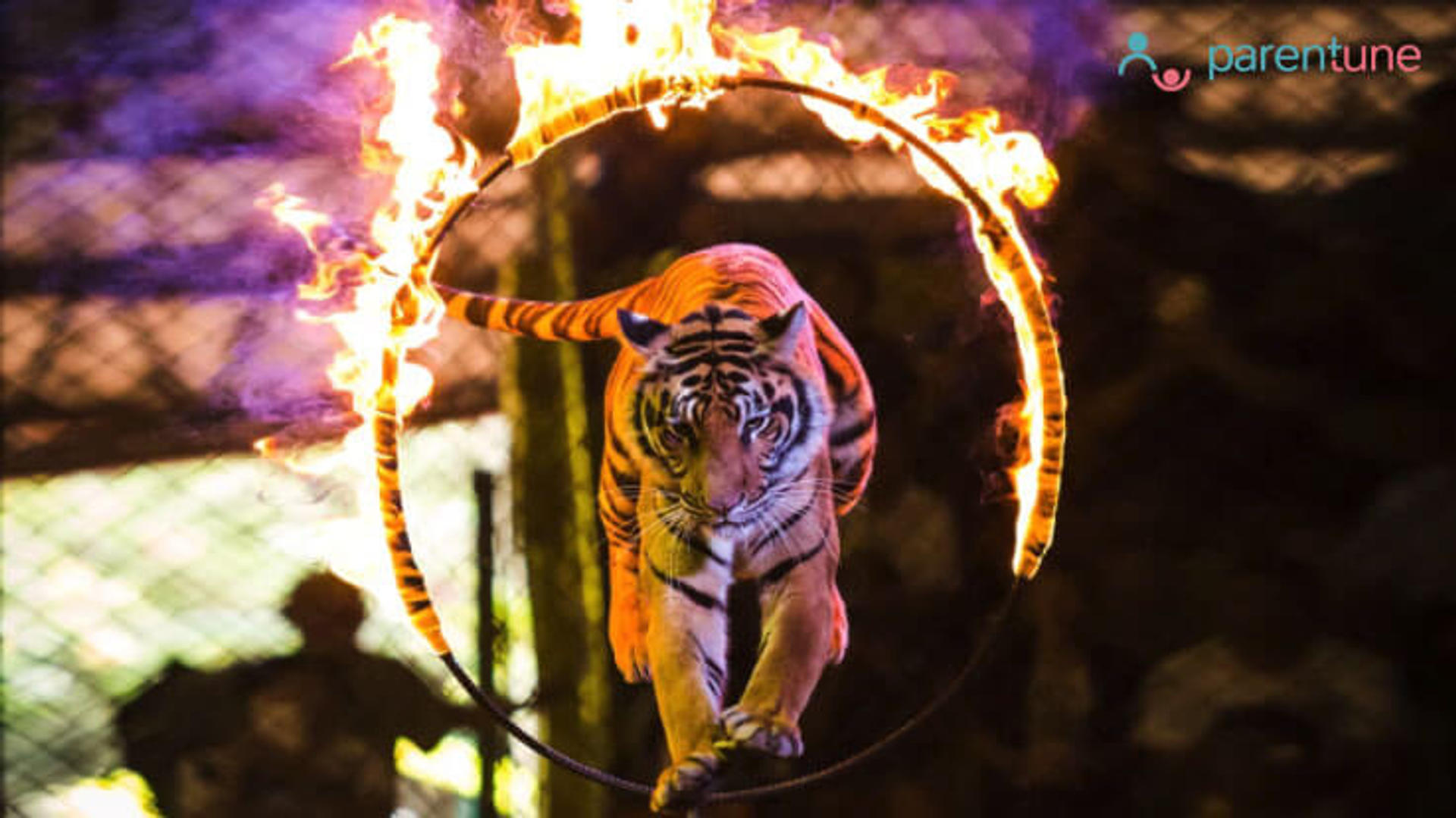 Is circus a relevant entertainment for children these days?