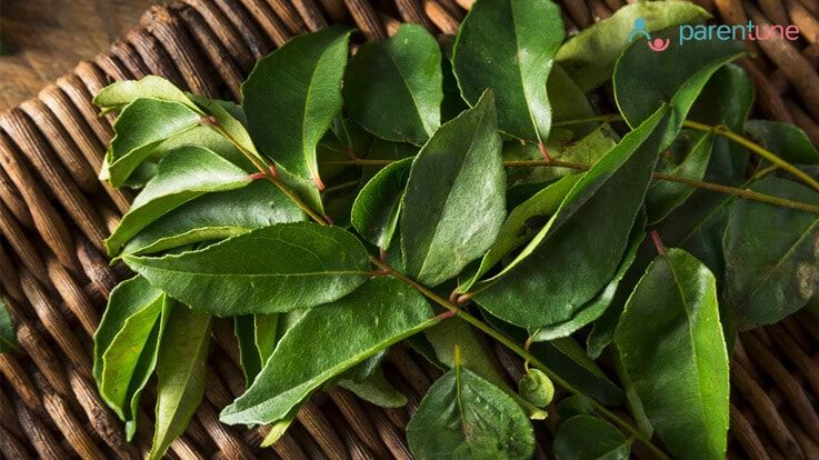 क्या हैं करी पत्तेCurry Leaf के चमत्कारिक औषधीय गुण फायदे और उपयोग क्या हैं करी पत्तेCurry Leaf के चमत्कारिक औषधीय गुण फायदे और उपयोग