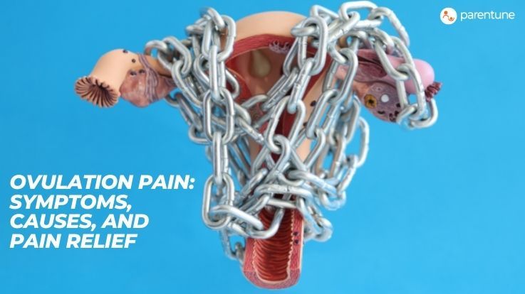 Ovulation pain Symptoms causes and pain relief Ovulation pain Symptoms causes and pain relief