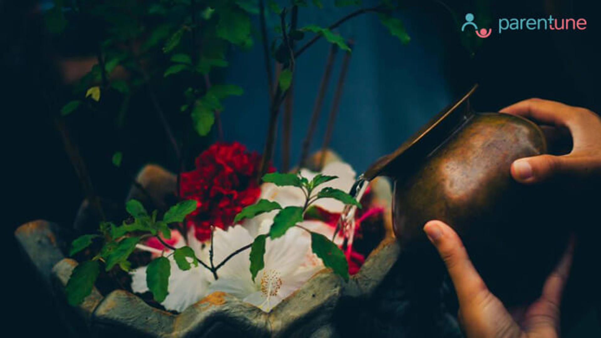 वाकई तुलसी है अमृत ! करें इसका इस्तेमाल अपने  बच्चो की इम्युनिटी बढ़ाने के लिए 