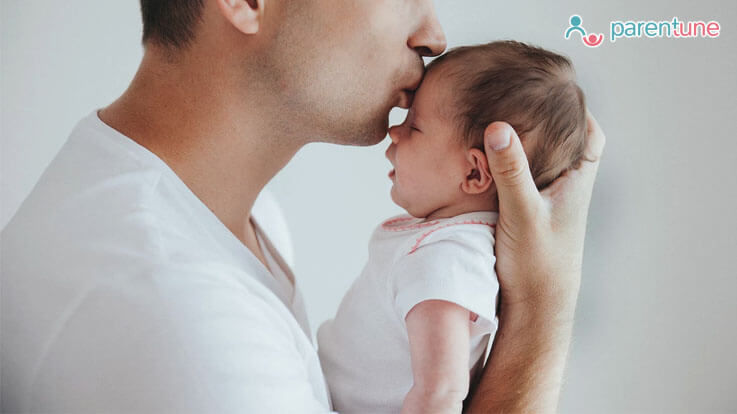What Is Lemur Parenting The Role Of A Father What Is Lemur Parenting The Role Of A Father