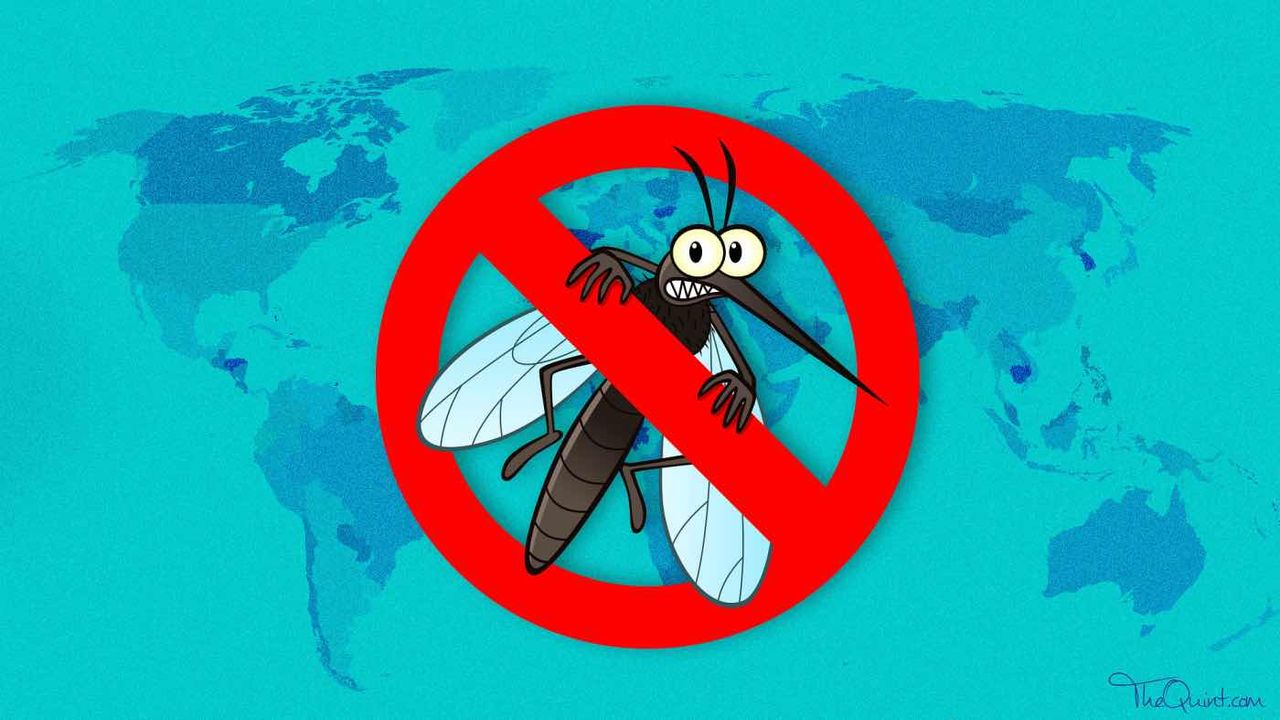 World Malaria Day 2022 Protect Your Baby From Mosquitoes World Malaria Day 2022 Protect Your Baby From Mosquitoes