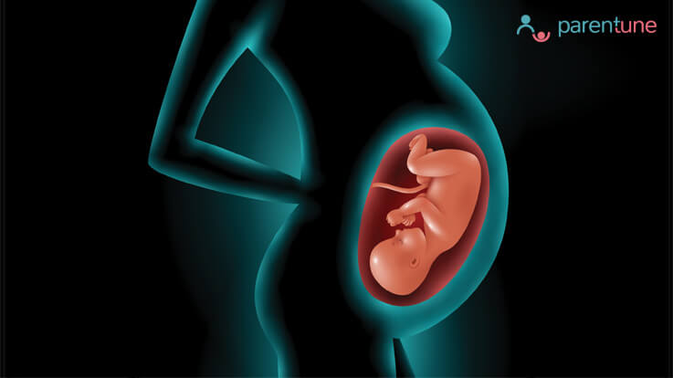 Why Does The Baby Hiccup in The Womb? When Can You Start ...