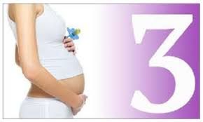 3 महिन्यांचा गर्भधारणा आहार चार्ट 3 महिन्यांचा गर्भधारणा आहार चार्ट