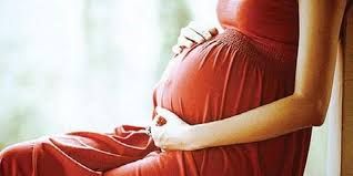 गर्भाचा विकास आवश्यक 5 गोष्टी गर्भाचा विकास आवश्यक 5 गोष्टी