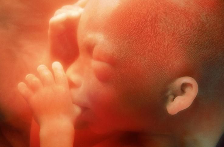 20 Weeks And 1 Day Pregnant Baby Fetal Progress Ultrasound 20 Weeks And 1 Day Pregnant Baby Fetal Progress Ultrasound