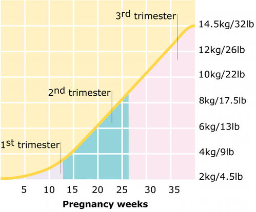 Pregnancy Weight Gain: Chart and Tips