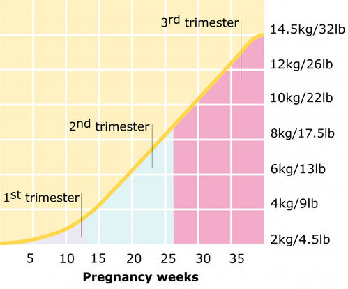 Baby Fetal Progress