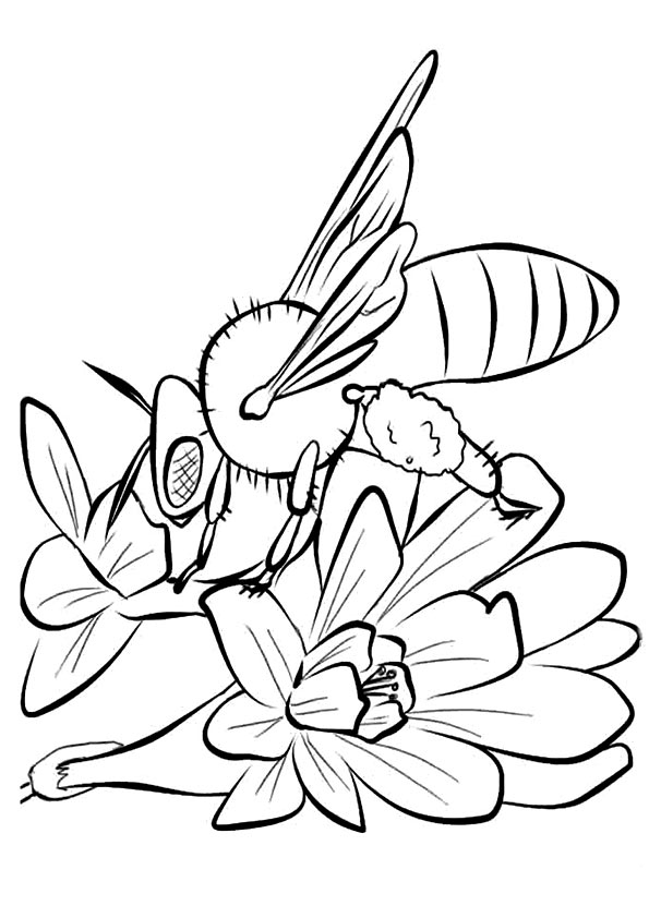 742 Animal Bees And Flowers Coloring Pages for Kindergarten