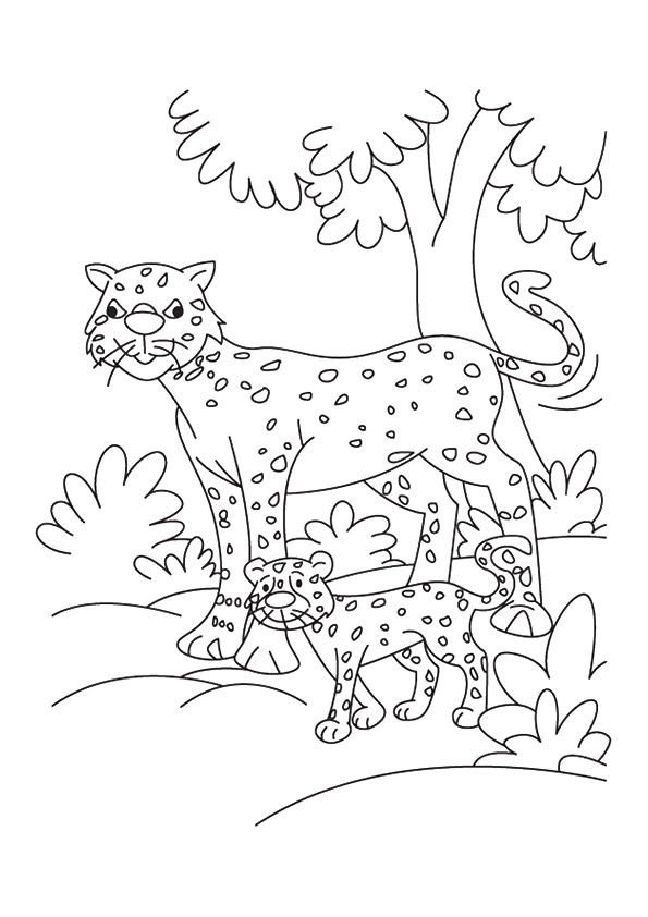 Free Printable Cheetah Coloring Pages, Cheetah Coloring Pictures for