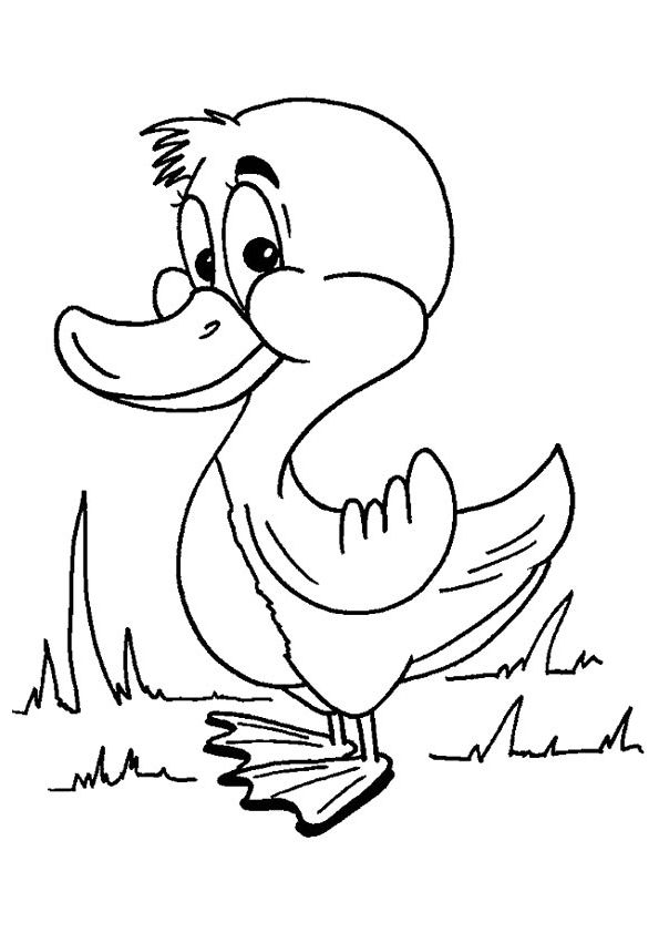 Free Printable Duck Coloring Pages, Duck Coloring Pictures for