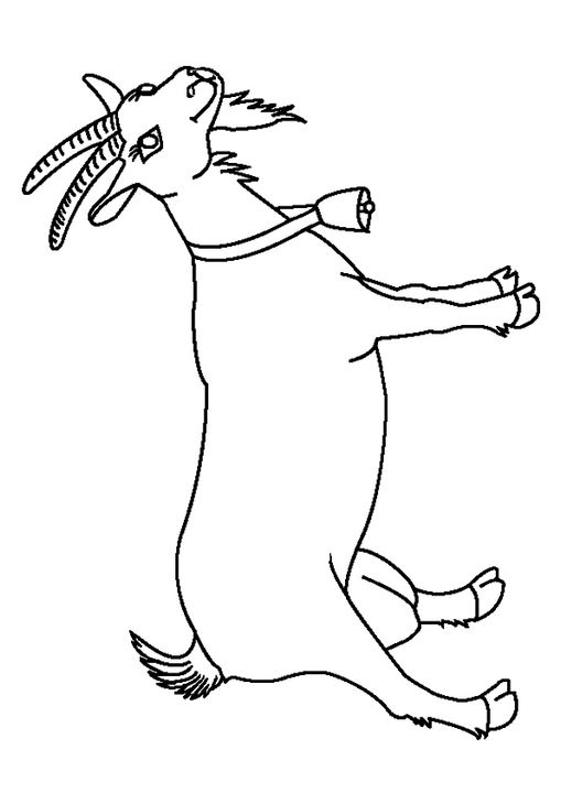 Preschool Goat Coloring Page