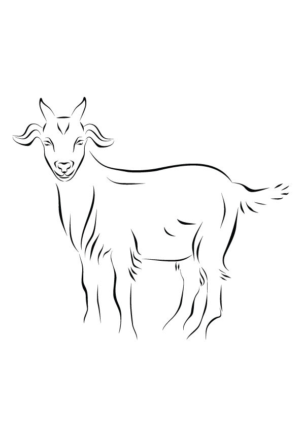 Free Printable Goat Coloring Pages, Goat Coloring Pictures for