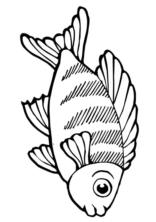 Free & Printable Large Eyes Koi Fish Coloring Picture, Assignment ...