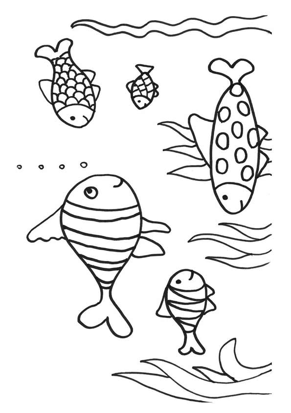 Free Printable Koifish Coloring Pages, Koifish Coloring Pictures for ...