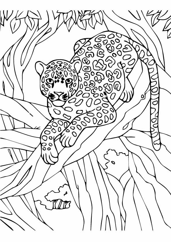 Download Parentune Free Printable Leopard Coloring Pages Leopard Coloring Pictures For Preschoolers Kids