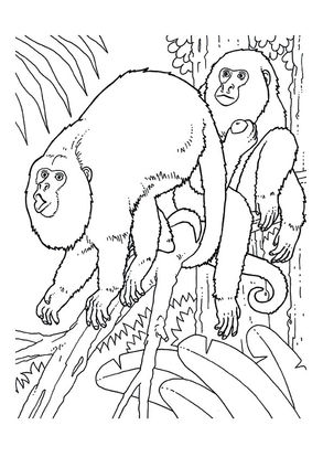 Free Printable Monkey Coloring Pages, Monkey Coloring Pictures for