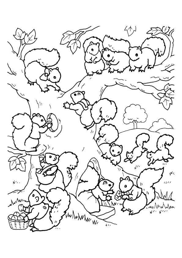 squirrel in tree coloring pages