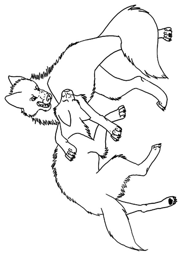 parentune  free  printable wolves fighting coloring