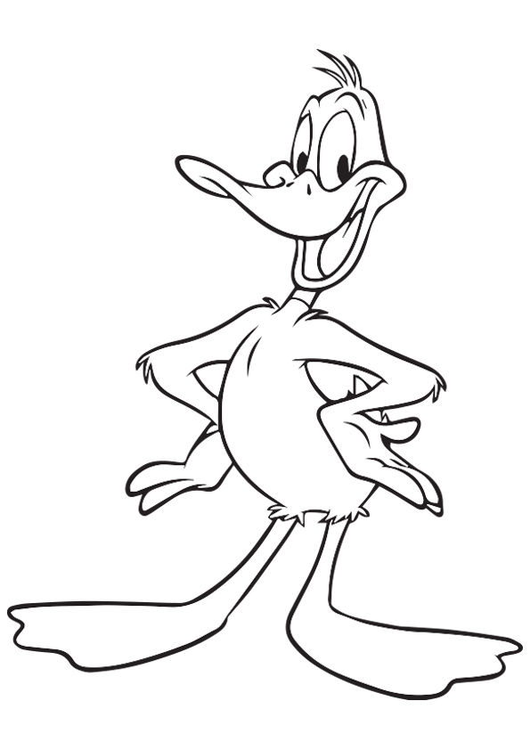 Free & Printable Daffy Coloring Picture, Assignment Sheets Pictures for ...