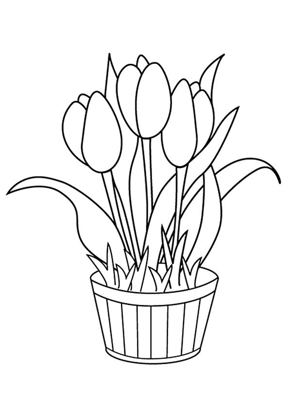 Free Printable Daffodil Coloring Pages, Daffodil Coloring Pictures for ...