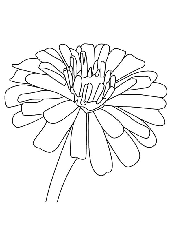 Download Free Printable Daffodil Coloring Pages, Daffodil Coloring ...