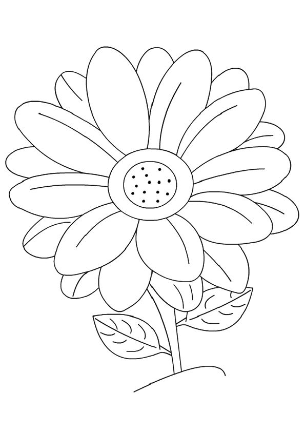 Free & Printable The Daisy Coloring Picture, Assignment Sheets Pictures