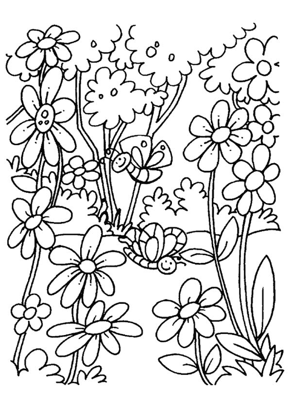 lily outline coloring page