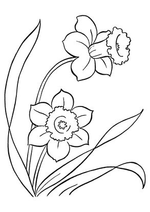 Free Printable Lily Coloring Pages, Lily Coloring Pictures for Preschoolers, Kids