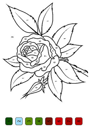 Free & Printable Rose color by number Coloring Picture, Assignment ...