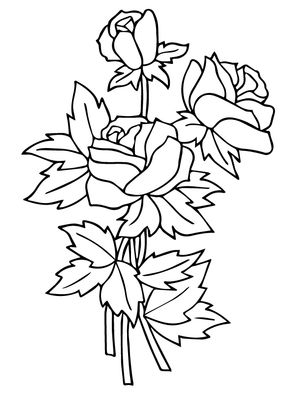 free printable rose coloring pages rose coloring pictures