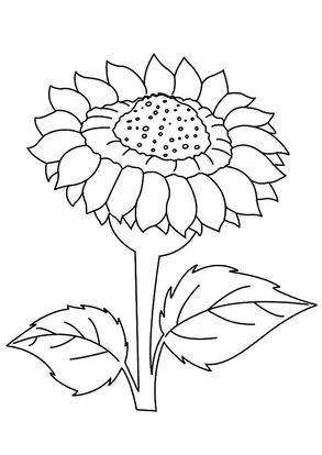 easy sunflower coloring pages