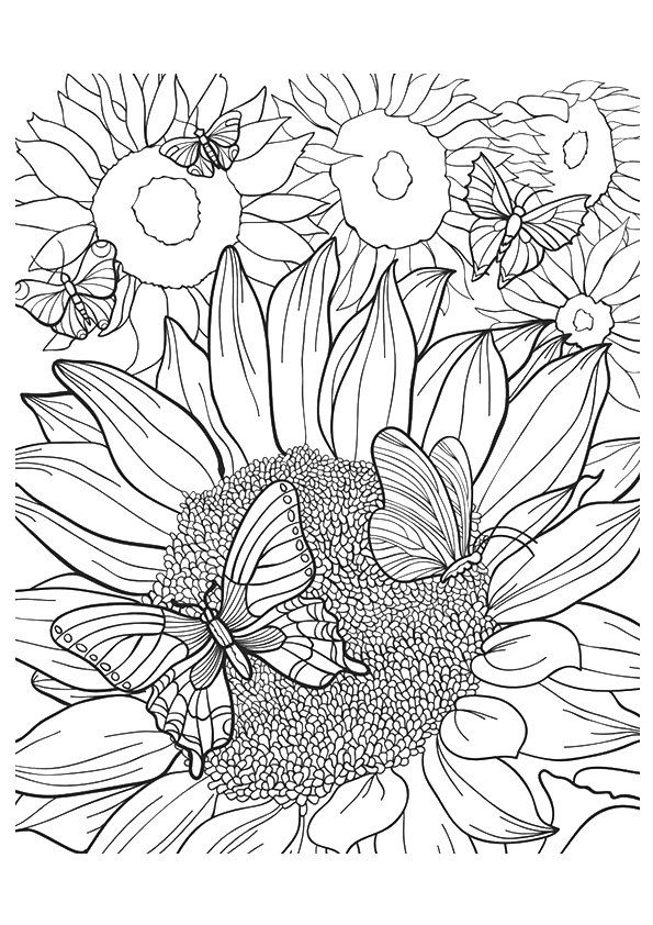 Coloring Sheet Sunflower Coloring Pages For Adults - Select from 35450